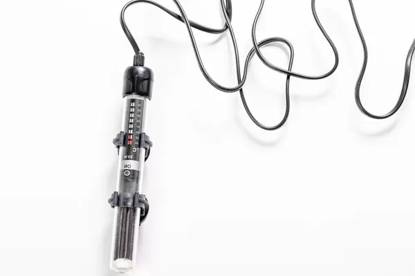 The device for heating the aquarium on a white background (Flip 2019)