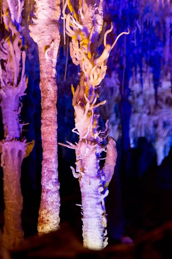 The eccentric stalactites, resembling a fishhook, of Cuevas del Hams, Porto Cristo, Mallorca