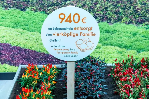 The full amount of euro a four-person family throws away each year - Miele fights food waste with biofresh fridge function