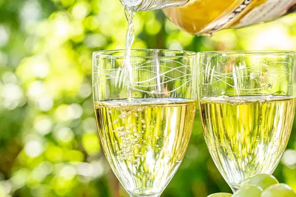 The glass is poured white wine on a blurred background of nature