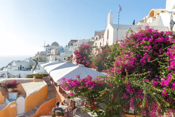 The good life in Santorini: bars with terraces and blooming bougainvillea plants in small alleys