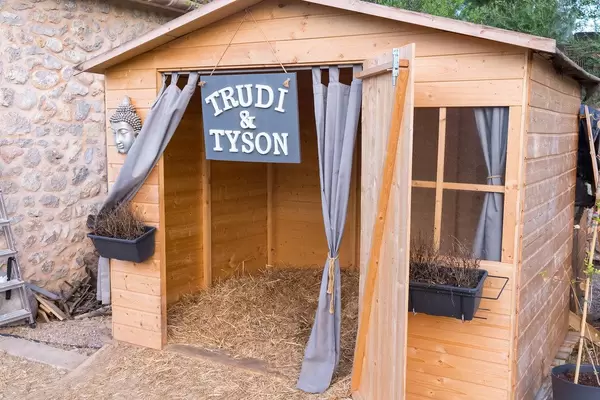 The home of Trudi and Tyson with windows, curtains and hay. Pig's bed at Villa Vegana, Selva, Mallorca