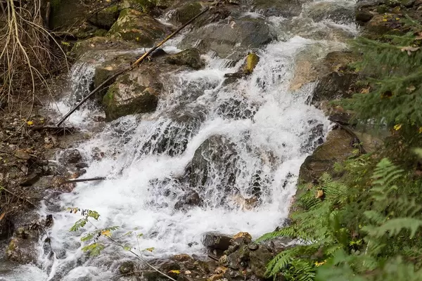 The Mühlbach stream flows near Alpbach, Tyrol. Seen during the Path of Contemplation hike
