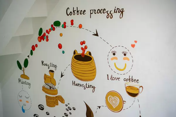 The Process of Coffee Making drawn on a White Wall in a Cafe