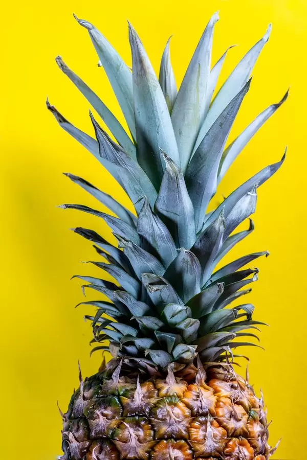 The tip of the pineapple on a yellow background