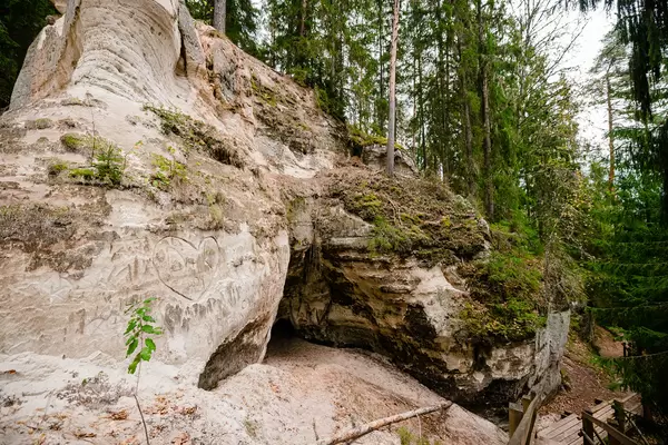 The white sandstone outcrops. Forest And Cave
