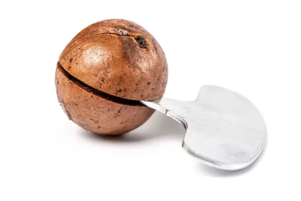 The whole macadamia nut and metal opener
