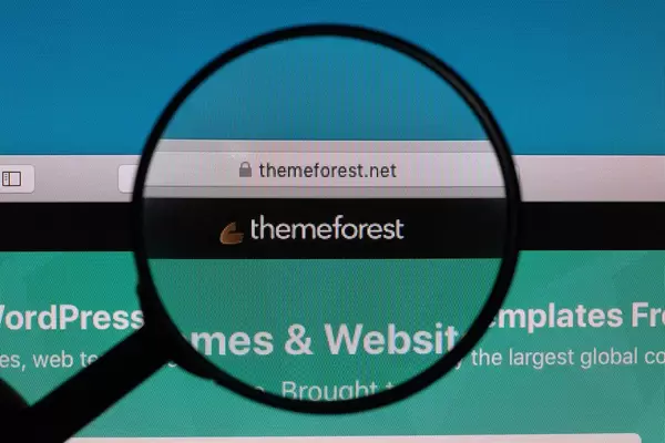 Themeforest logo under magnifying glass