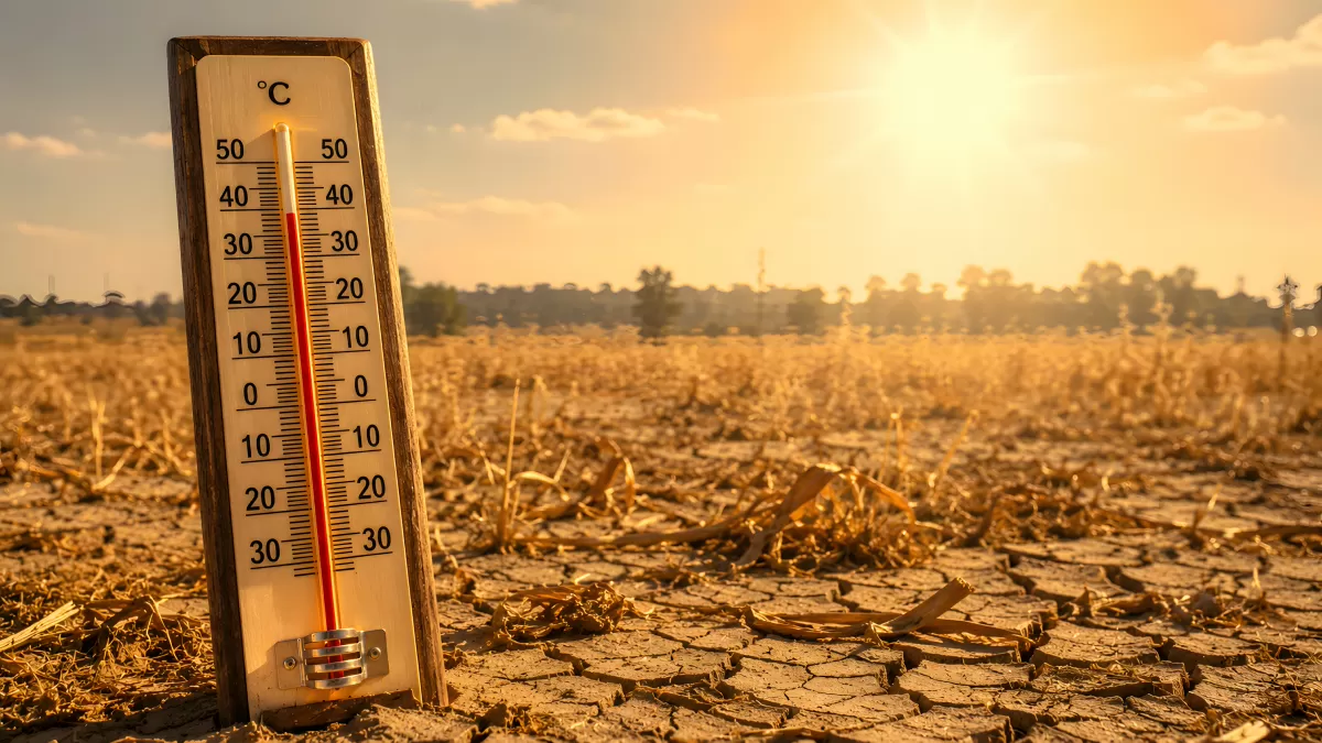 Thermometer zeigt 50 Grad auf ausgedörrtem Feld