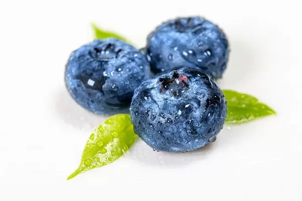 Three blueberries with leaves close-up (Flip 2019)