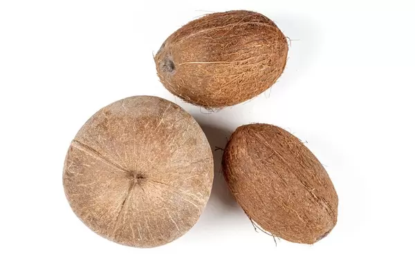 Three coconut on a white background, top view