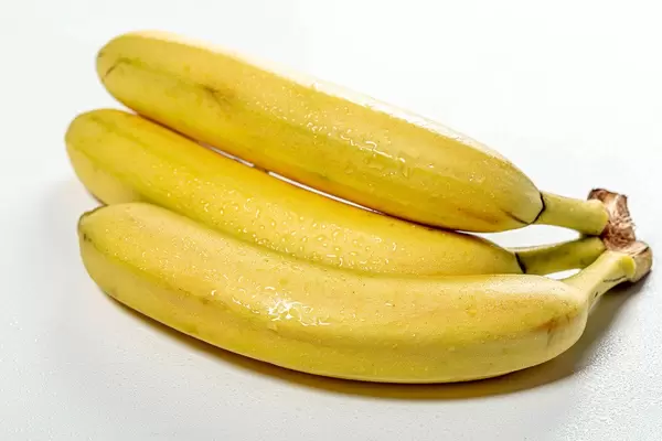 Three fresh ripe bananas with drops of water (Flip 2019)