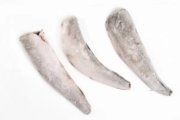 Three Frozen Hake fish isolated above white background