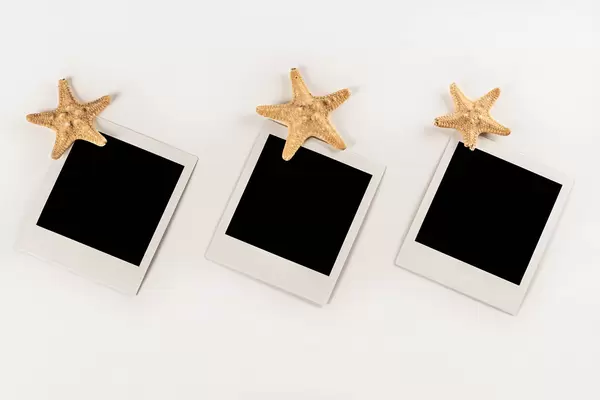 Three polaroid photos fixed by starfish, white background