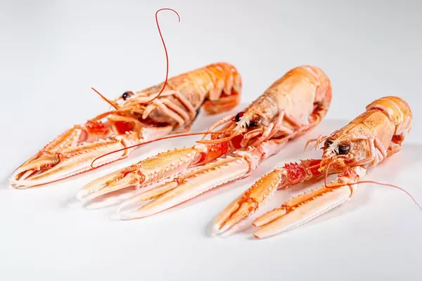 Three whole boiled lobsters on a white background