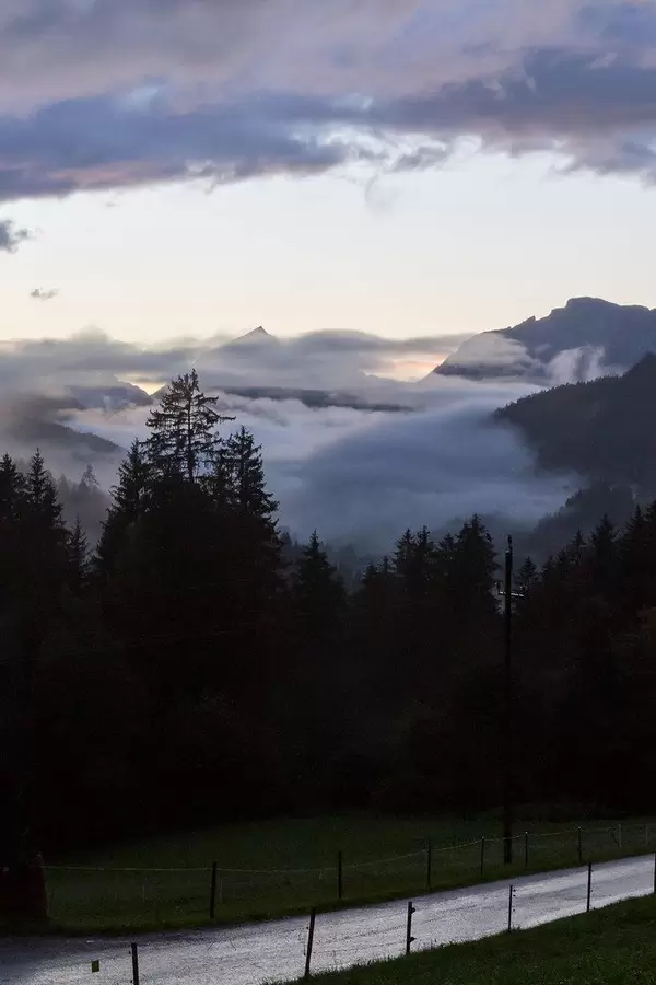 Tiefhängende Wolken im Wald mit Bergen am Horizont: Alpenlandschaft in Tirol, Österreich