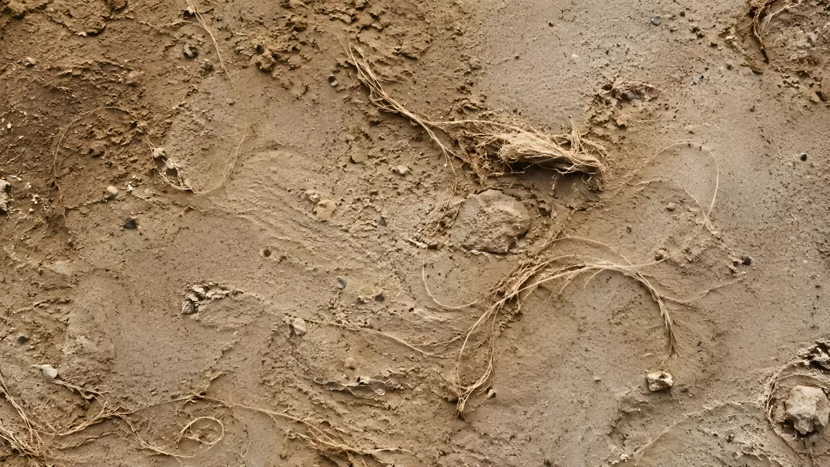 Tierspuren im feuchten Schlammboden mit Stroh