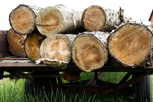 Timber staked in a wagon
