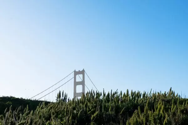 Tip of Golden Gate Brigde coming out behind a hill