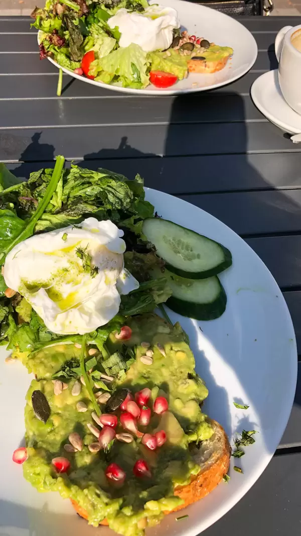 Toast with avocado, pomegranate seeds and herbs, served with cucumber, salad and cherry tomatoes
