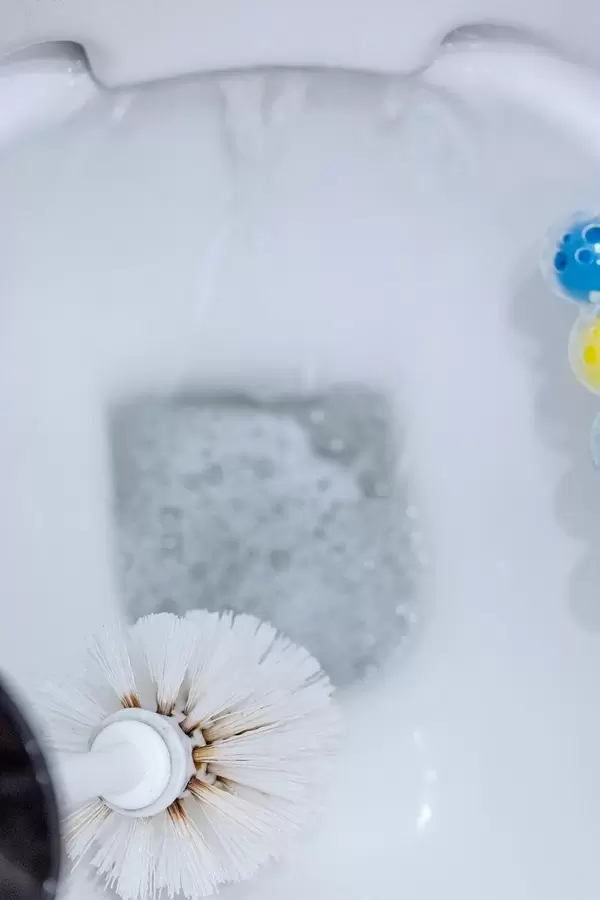 Toilet bowl cleaning process with a brush