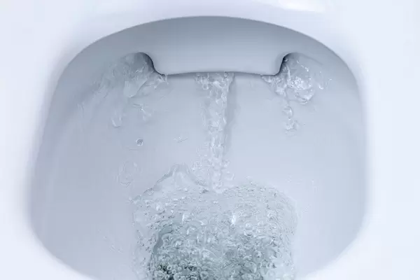 Toilet bowl flushing water in bathroom close up (Flip 2019)