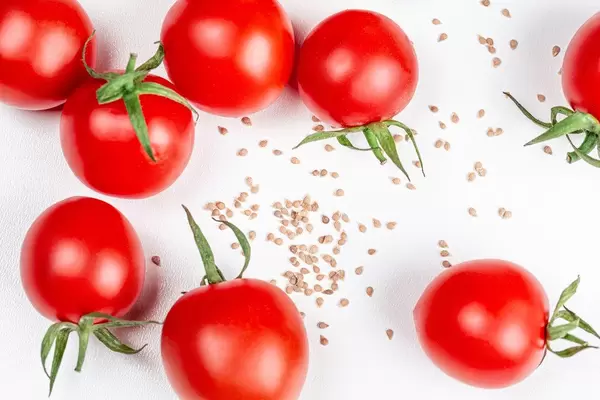 Tomato seeds and fresh tomatoes on a white background