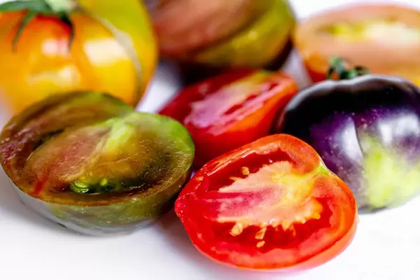 Tomatoes of different varieties and colors