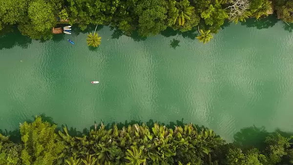 Top shot of a Kayak cruising through a river in Palawan Island, Philippines