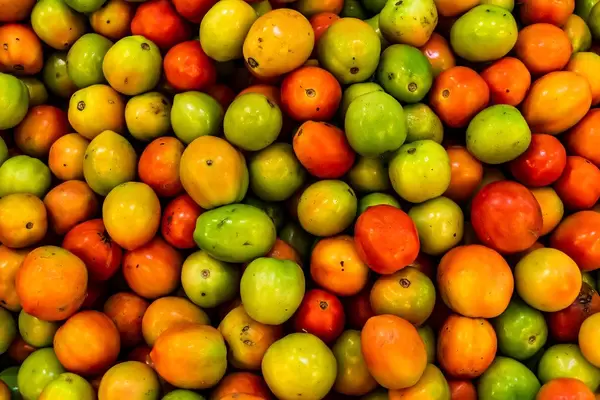 Top shot of fresh tomatoes