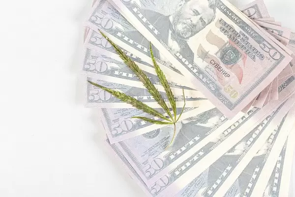 Top view, cannabis leaf on a lot of money on white background