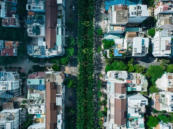 Top View Drone Shot of Palm Trees along a Street in a Residential Area with Alleys and Houses in District 8 in Ho Chi Minh City, Vietnam