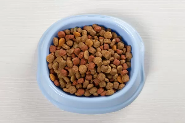 Top view dry cat food in a bowl (Flip 2019)
