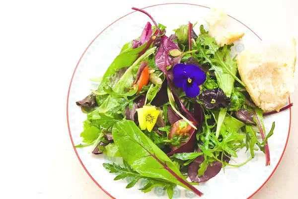 Top View Food Photo of Healthy Salad with Lettuce, Herbs and edible Flowers