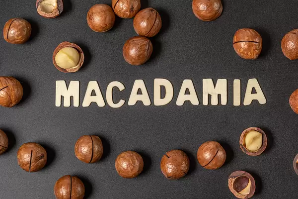 Top view, inscription macadamia from wooden letters and ripe nuts on black background