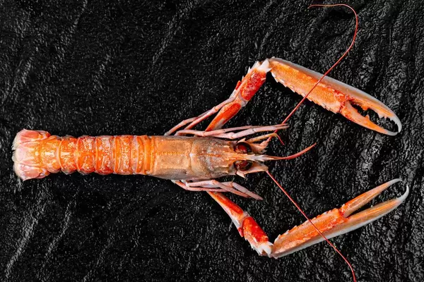 Top view of a cooked red lobster on a black background (Flip 2020)