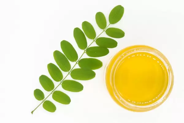 Top view of a jar of acacia honey with green branch