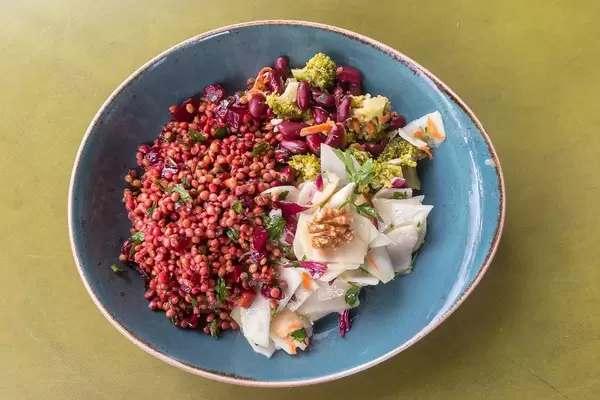 Top View of a Plate with Lentils, Radish, Brokkoli, Walnuts and Beetroot