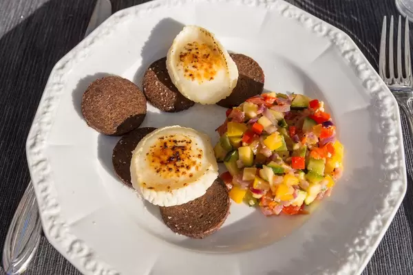 Top View of healthy fitness food - ratatui, pumpernickel wholemeal bread and flambéed cheese slices