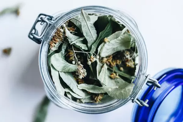 Top view of linden tea in a jar