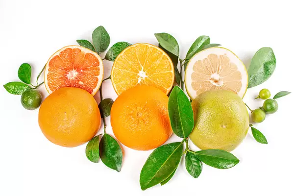 Top view of orange, sweetie, grapefruit and calamondina with branches