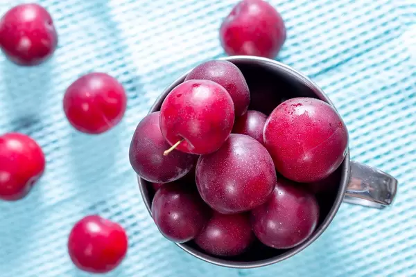 Top view of ripe plums in the iron mug on a blue background (Flip 2019)