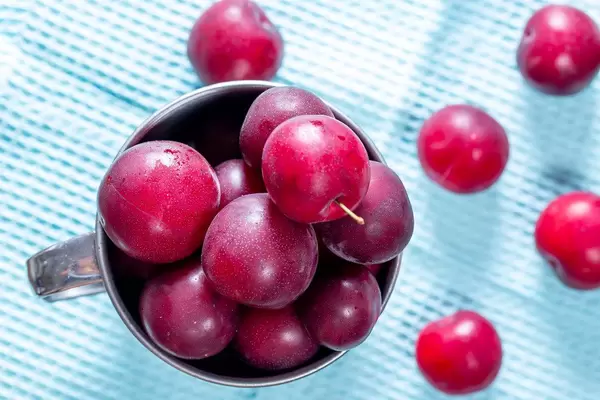 Top view of ripe plums in the iron mug on a blue background