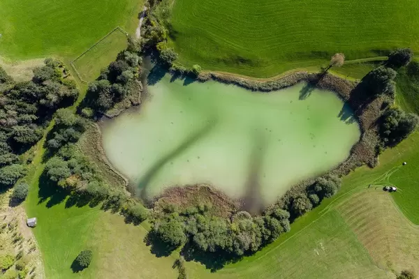 Top view of small lake Frauensee with light green waters and two darker streaks, surrounded by trees
