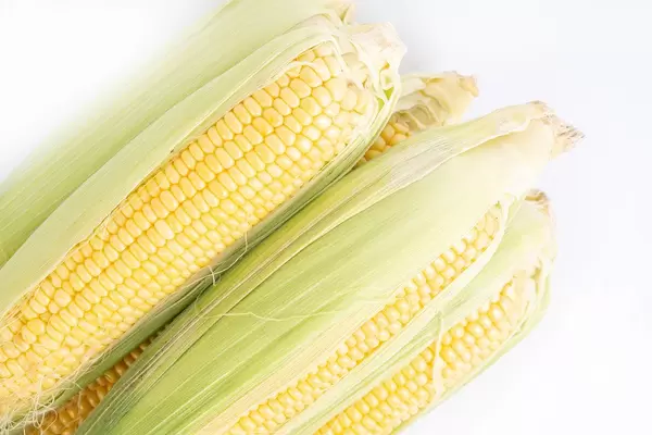 Top view of Young Corn Cobs prepared for cooking
