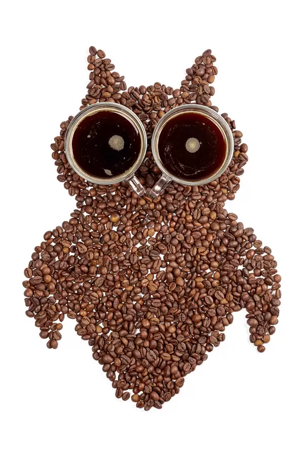 Top view, owl made from coffee beans with eyes from two cups of coffee