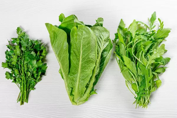 Top View Photo of Fresh Parsley, Romaine Salad and Arugula on White Wooden Background