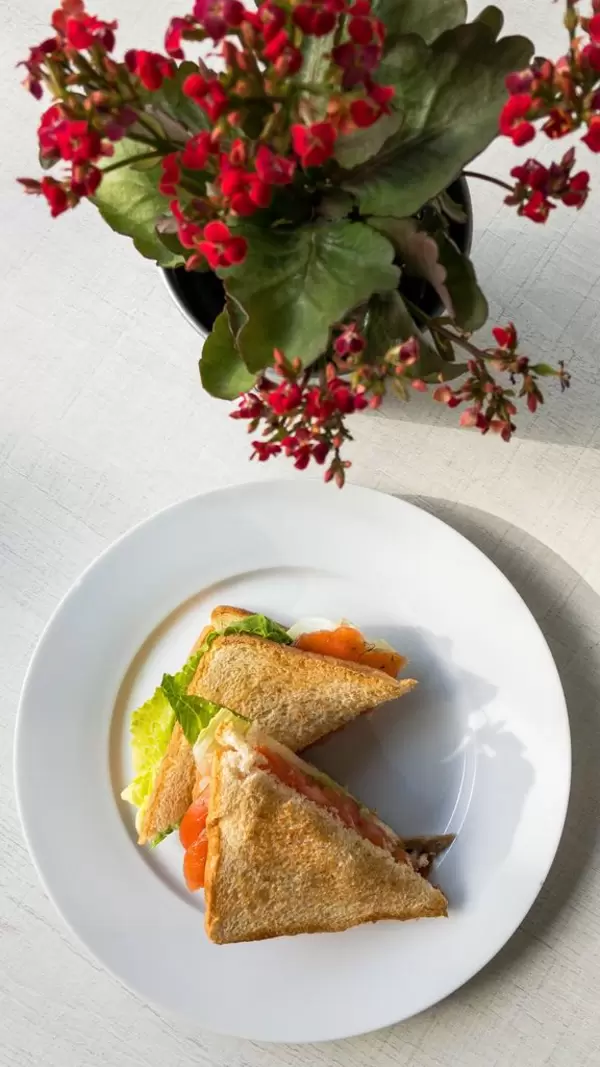 Top view - Sandwiches with smoked salmon, tomatoes and salad on a white plate