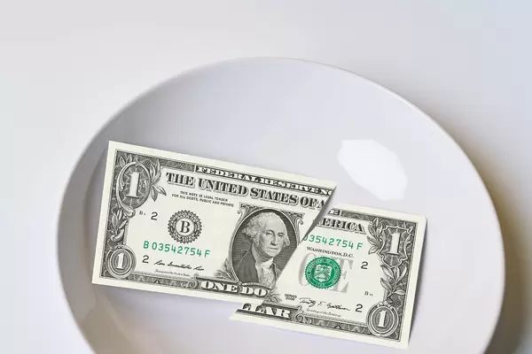 Torn 1 dollar banknote on the plate
