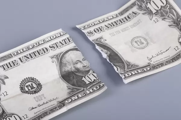 Torn money on grey background